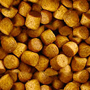 FD Primo Plus (Large 3kg)
