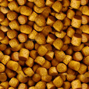 FD Primo Plus (Medium 15kg)