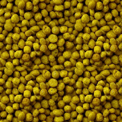 FD Supplement (Large 15kg)
