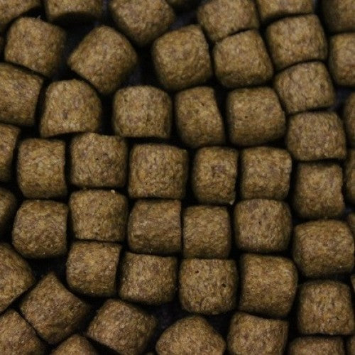 FD Build-Up Extra (Large 15kg)