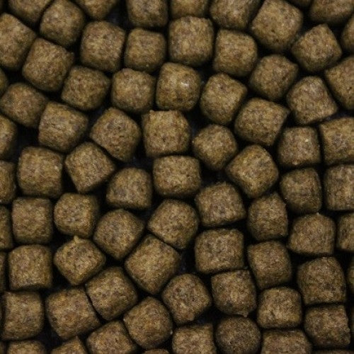 FD Build-Up Extra (Medium 15kg)